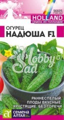 Огурец Надюша F1 (8 шт) Семена Алтая Seminis