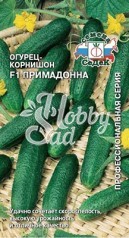 Огурец Примадонна F1 (0,2 г) Седек