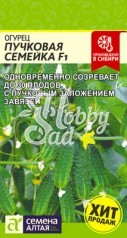 Огурец Пучковая Семейка F1 (6 шт) Семена Алтая