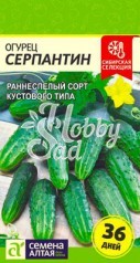 Огурец Серпантин (0,5 г) Семена Алтая Сибирская Селекция