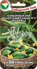 Огурец Сибирский многодетный F1 (7 шт) Сибирский Сад