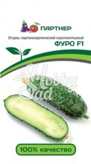 Огурец Фуро F1 партенокарпический ( 2-ной пак.) (5 шт) Партнер