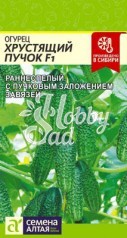 Огурец Хрустящий Пучок F1 (6 шт) Семена Алтая