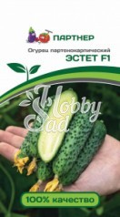 Огурец Эстет F1 партенокарпический (2-ной пак.) (5 шт) Партнер