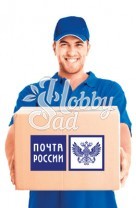 Почта России (350 р) курьер онлайн до 5 кг
