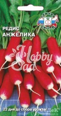 Редис Анжелика (2 г) Седек