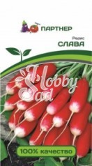 Редис Слава (2 г) Партнер