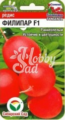 Редис Филипар F1 (60 шт) Сибирский Сад