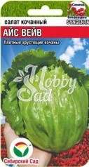 Салат Айс Вейв (10 шт) Сибирский Сад