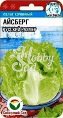 Салат Айсберг Русский Размер (0,5 гр) Сибирский Сад