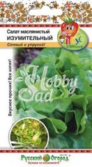 Салат Изумительный кочанный (200 шт) Русский Огород серия Вкуснятина
