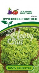 Салат Кучерявец Партнер листовой (1 г) Партнер