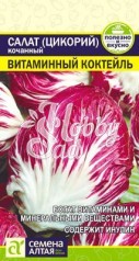 Салат Цикорий Витаминный Коктейль (0,5 гр) Семена Алтая