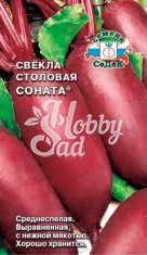 Свекла Соната столовая (3 г) Седек