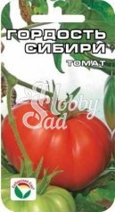 Томат Гордость Сибири (20 шт) Сибирский Сад