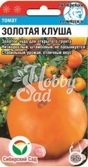 Томат Золотая Клуша (20 шт) Сибирский Сад