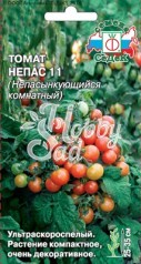 Томат Непас 11 Непасынкующийся комнатный (0,1 г) Седек