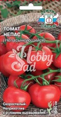 Томат Непас Непасынкующийся о/г (0,1 г) Седек