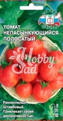 Томат Непасынкующийся Полосатый (0,1 г) Седек