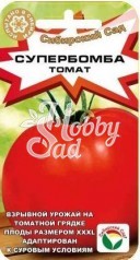 Томат Супербомба (20 шт) Сибирский Сад