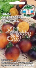 Томат Фиолетовая Галактика (0,1 г) Седек