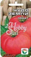 Томат Чудо земли (20 шт) Сибирский Сад
