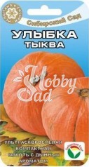 Тыква Улыбка (5 шт) Сибирский Сад