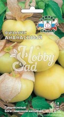 Физалис Ананасовый (0,1 г) Седек