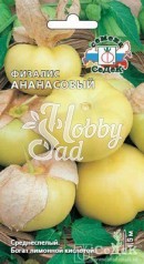 Физалис Ананасовый  (0,1 г) Седек