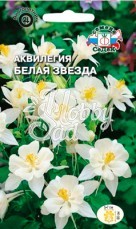 Цветы Аквилегия Белая Звезда  (0,1 г) Седек