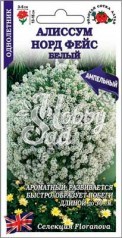 Цветы Алиссум Норд фейс белый (0,01 г) Сотка