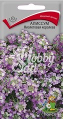 Цветы Алиссум Фиолетовая королева (0,3 г) Поиск