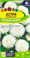 Цветы Астра Белый ковер низкорослая (0,2 гр) Семена Алтая