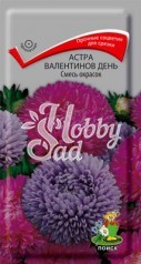 Цветы Астра Валентинов день Смесь окрасок (0,2 г) Поиск