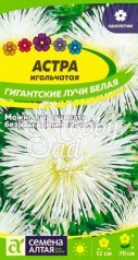 Цветы Астра Гигантские лучи Белая (0,2 гр) Семена Алтая