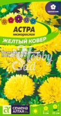 Цветы Астра Желтый Ковер низкорослая (0,2 гр) Семена Алтая