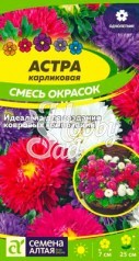 Цветы Астра Карликовая смесь окрасок (0,1 гр) Семена Алтая
