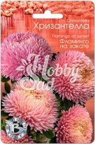 Цветы Астра китайская Хризантелла Фламинго на закате (30 шт) Биотехника
