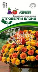 Цветы Бархатцы Строберри Блонд отклоненные (10 шт) Партнер