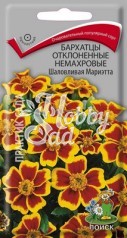 Цветы Бархатцы Шаловливая Мариэтта отклоненные немахровые (Тагетес отклоненный) (0,4 г) Поиск