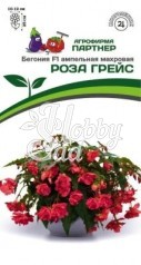 Цветы Бегония Роза Грейс F1 клубневая ампельная махровая (5 шт) Партнер НОВИНКА 2024