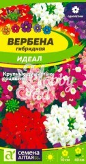 Цветы Вербена Идеал гибридная (0,1 г) Семена Алтая