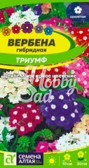 Цветы Вербена Триумф гибридная (0,1 г) Семенга Алтая