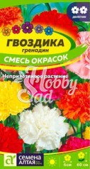 Цветы Гвоздика Гренадин Смесь (0,1 г) Семена Алтая