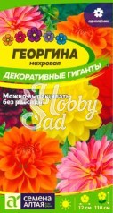 Цветы Георгина Декоративные гиганты (0,2 г) Семена Алтая