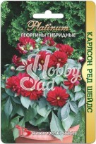 Цветы Георгина Карлсон Ред Шейдс гибридные (10 шт) Биотехника