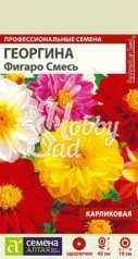 Цветы Георгина Фигаро Смесь махровая (5 шт) Семена Алтая