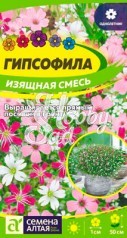 Цветы Гипсофила Изящная Смесь (0,2 г) Семена Алтая