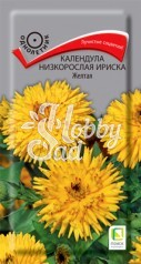 Цветы Календула Ириска Желтая низкорослая (10 шт) Поиск