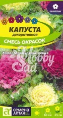 Цветы Капуста Декоративная Смесь окрасок (0,1 г) Семена Алтая